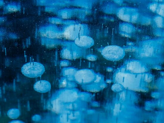 These are methane bubbles trapped in ice.  I only heard about this recently and decided to go see them at Abraham Lake near the Banff National Park border.  So three hours later, I was there marching out to the middle of the lake trying to find a clearing in the snow when at last I came upon this window into the lake.  I could only imagine these bubbles coming to the surface in spring, and if someone isn’t careful, these can be set on fire!!