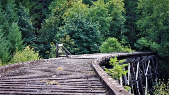 1686605376-740-1017-lxb_photoI4oRFOCLsAIlxb_photo-