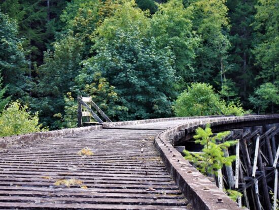 1686605376-740-1017-lxb_photoI4oRFOCLsAIlxb_photo-