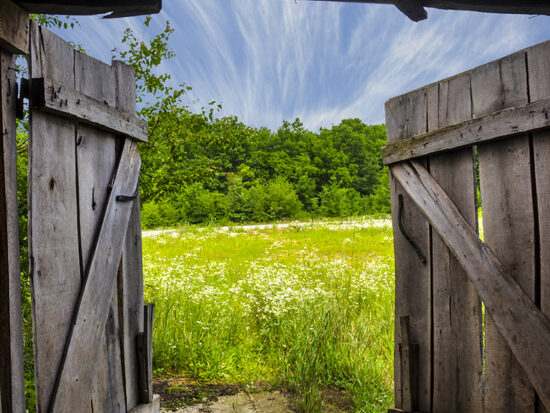 Barn Doors