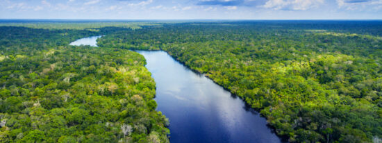 Amazon-rainforest-in-Brazil