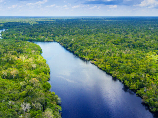 Amazon-rainforest-in-Brazil