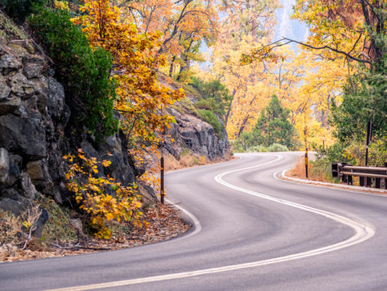 Sequoia National Park Road. California, United States.