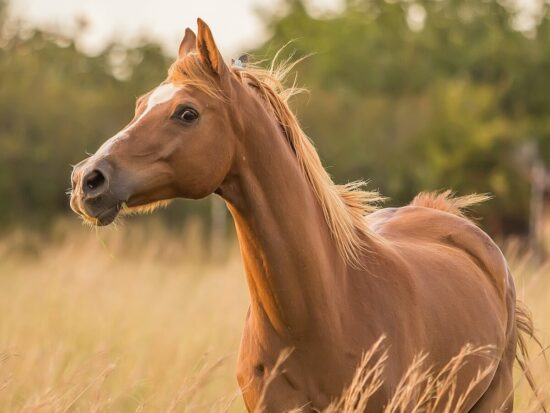 1686614540-825-6629-lxb_photoTGl7QuHRIDMlxb_photo-