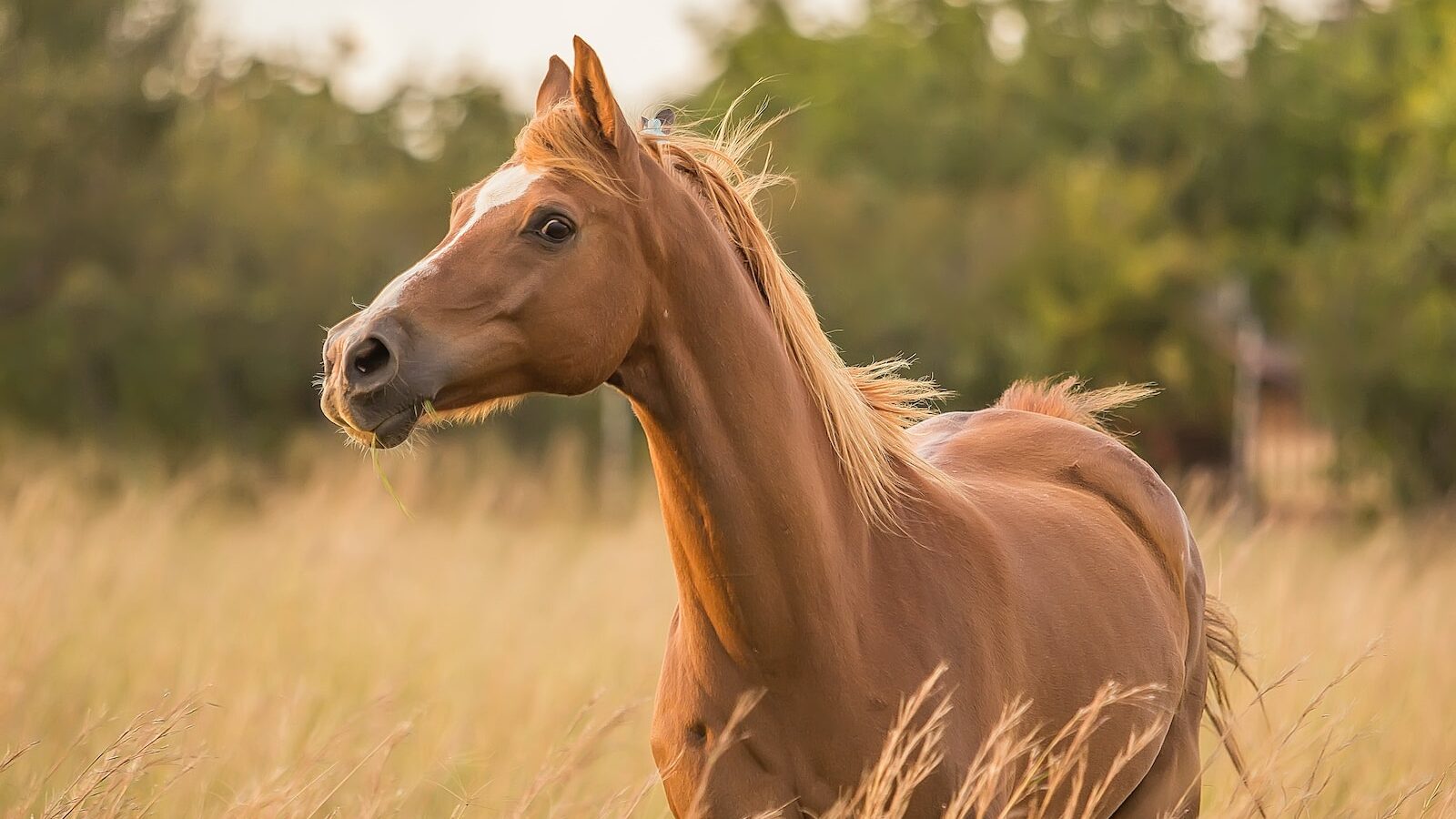 1686614540-825-6629-lxb_photoTGl7QuHRIDMlxb_photo-