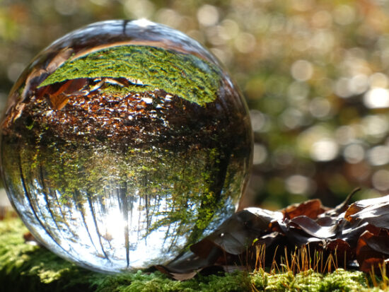 Reflection of colourful autumn forest and shunshine inside lensball Global warming and climate change