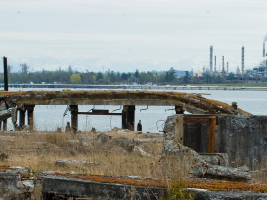 Photo of Industrial Wasteland with manufacturing plant in background.