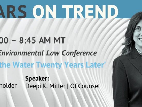 04.09.2022_Libby Stennes & Deepi Miller_ABA Toxic Torts and Environmental Law Conference 2