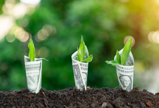 Dollar,Bill,Plant,Growth,From,Ground.concept,Of,Money,Tree,Growing