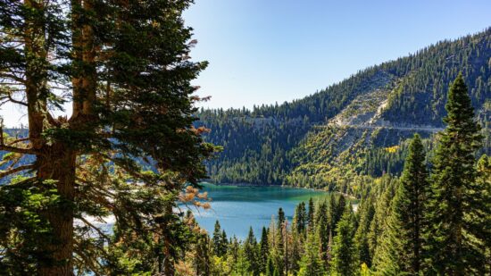 1680798439-4657-7583-lxb_photoYuJokOHODF0lxb_photo-