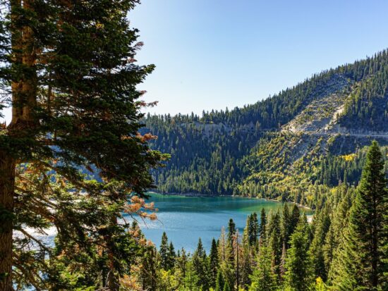 1680798439-4657-7583-lxb_photoYuJokOHODF0lxb_photo-