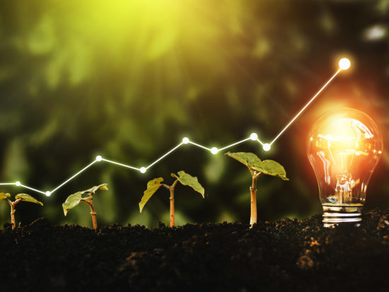 Lightbulb is located on the soil, and plant are growing.Renewable energy generation is essential in the future.