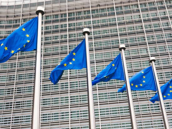 The,Queue,Of,Steeples,With,Blue,Flags,Of,The,European