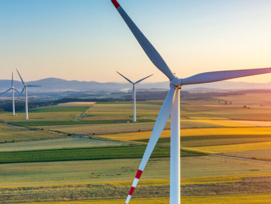 sunset above the windmills on the field