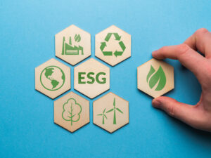 ESG or environmental social governance. The company development of a nature conservation strategy.
