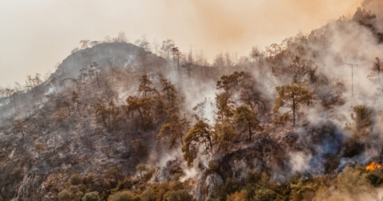 Aerial View Firefighter Fighting Forest Fire