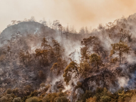 Aerial View Firefighter Fighting Forest Fire