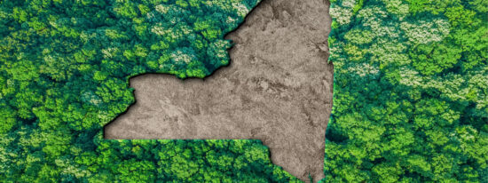 Sustainable habitat Map of New York, Environment -Shutterstock_2201338381