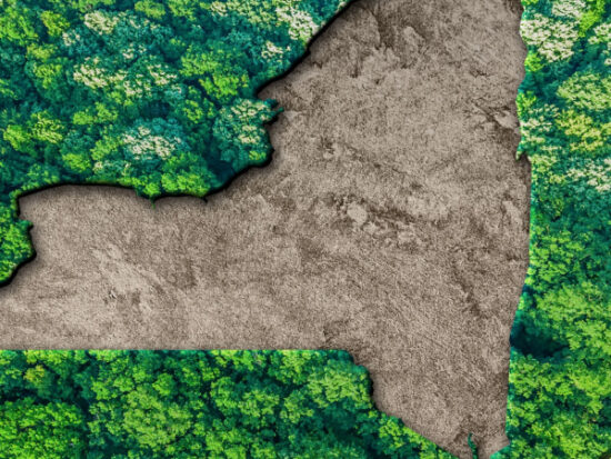 Sustainable habitat Map of New York, Environment -Shutterstock_2201338381