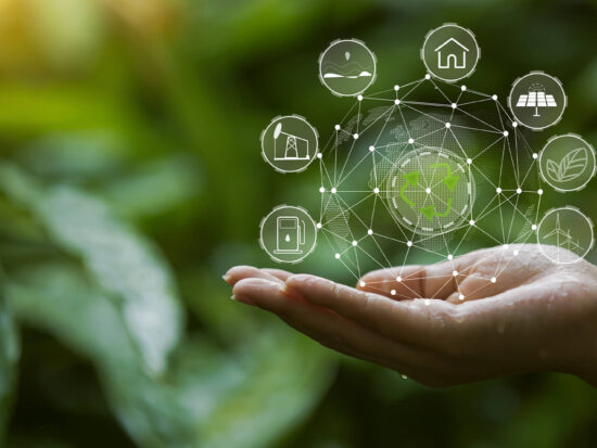 What-is-Carbon-Offsetting-and-why-is-it-important