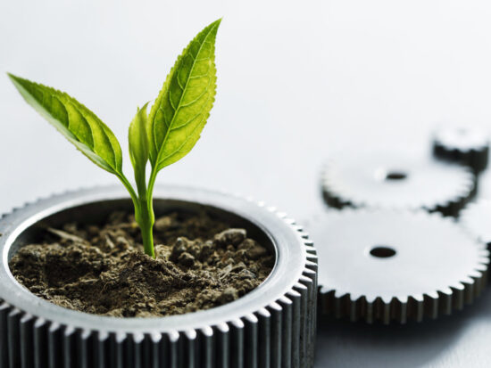 Sustainable Development