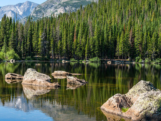 Bear,Lake,-,A,Sunny,Summer,Morning,View,Of,A