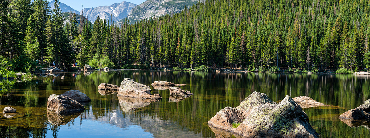 Bear,Lake,-,A,Sunny,Summer,Morning,View,Of,A