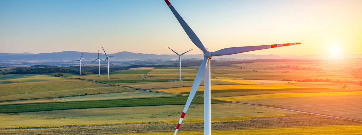 sunset above the windmills on the field
