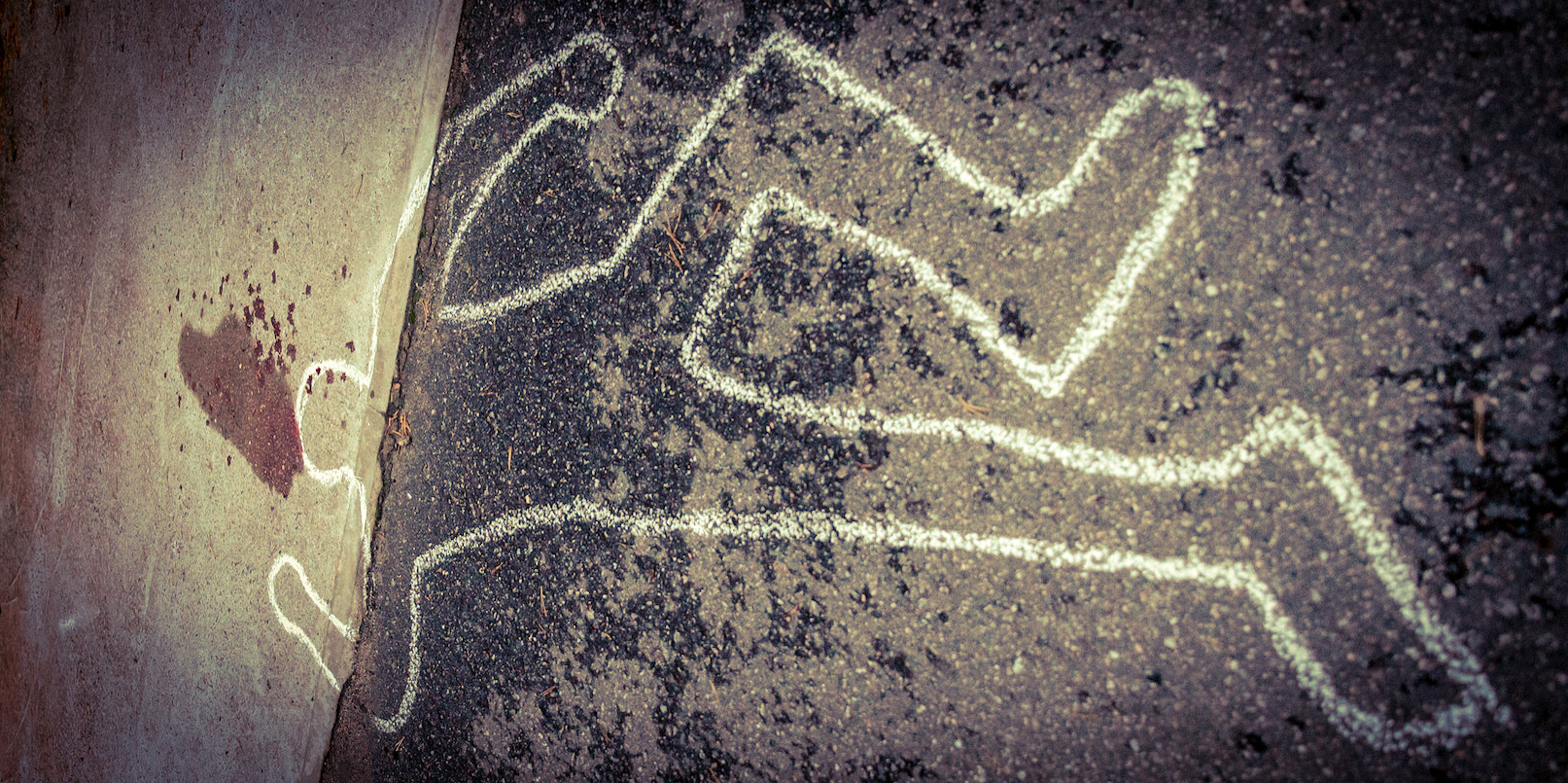 nature crime alliance