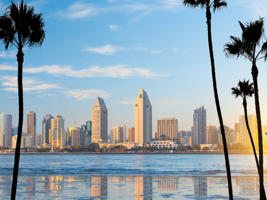 McCann v City of San Diego