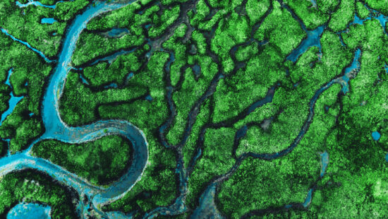 Beautiful aerial view of meander river with affluents and green vegetation.