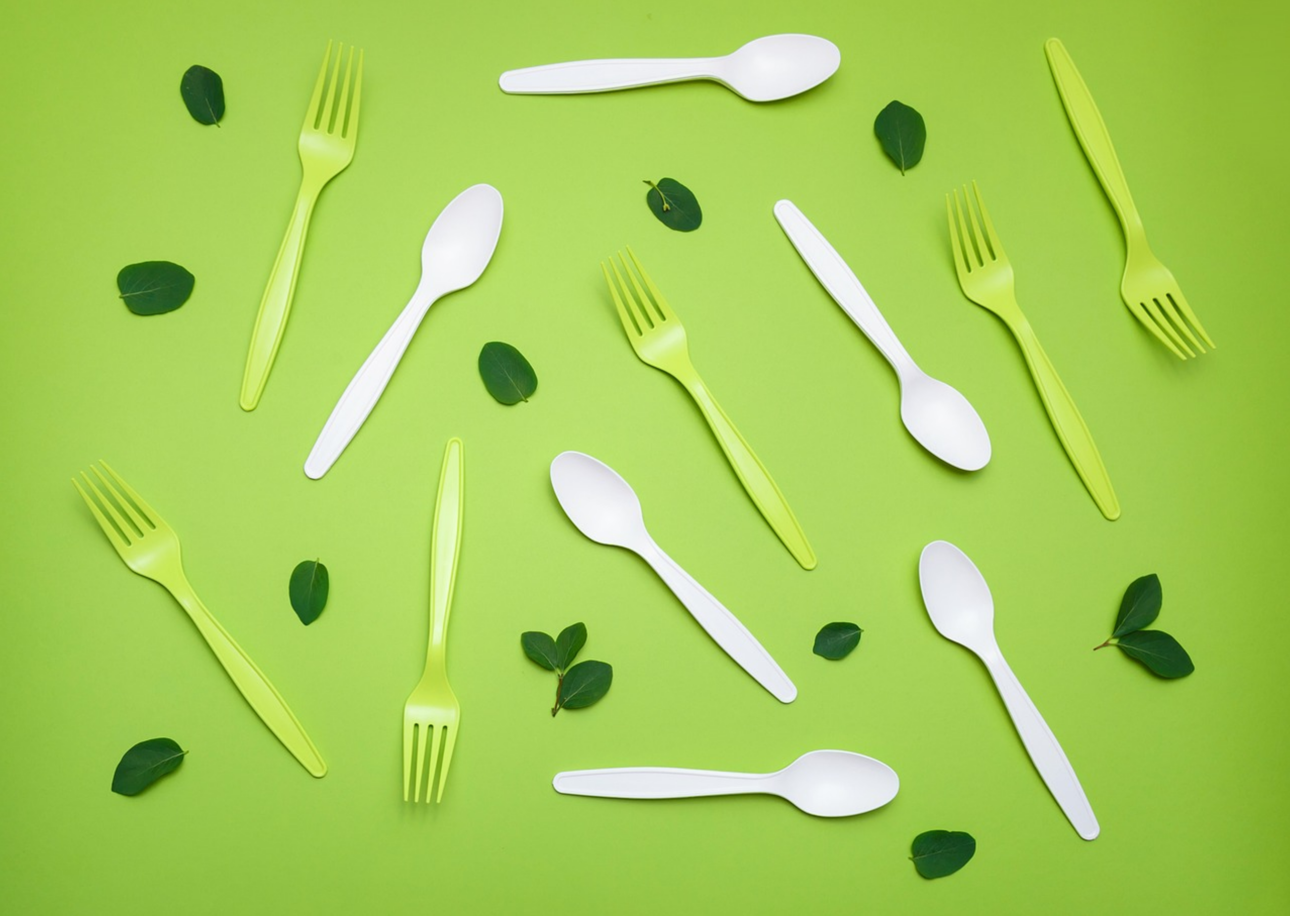 MicrosoftTeams-image (41)