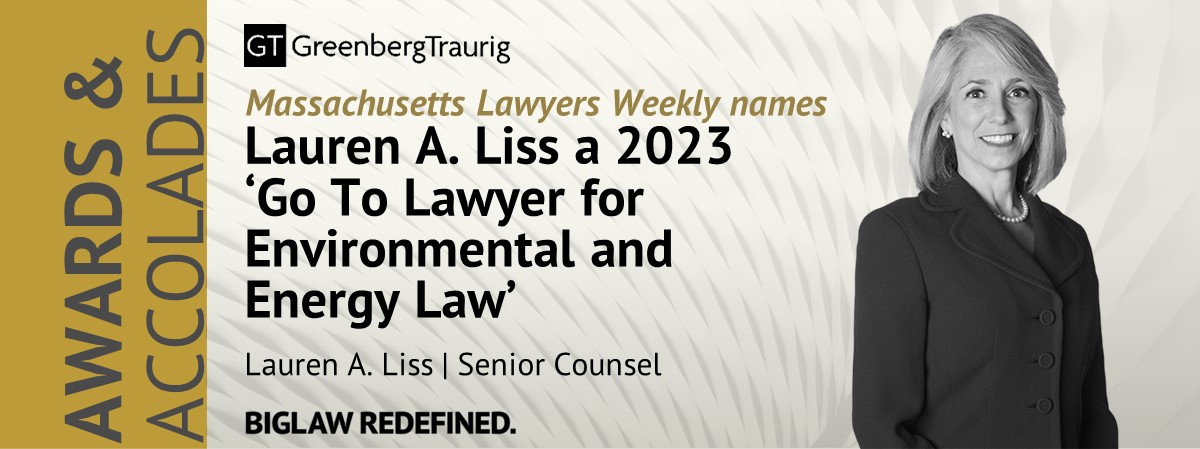 lauren liss go to lawyer