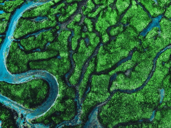 Beautiful aerial view of meander river with affluents and green vegetation.