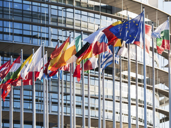 All European Union flags in front of parliament eu