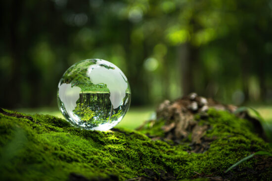 Environment Concept - Crystal Earth On moss In Forest With Ferns And Sunlight - Environment, save clean planet, ecology concept. Earth Day banner with copy space.
