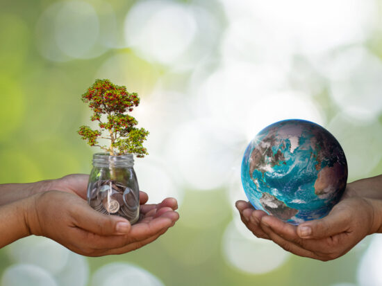 ESG_Plant vs world in hands