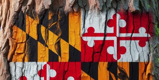 Maryland Flag