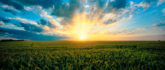 Universal Feature Image (1)