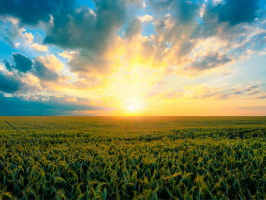 Universal Feature Image (1)