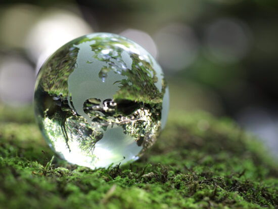 Crystal world globe laying on miss surface