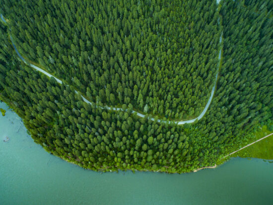 GettyImages-1266262144