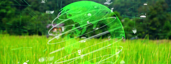 shutterstock_1911837421 (1)