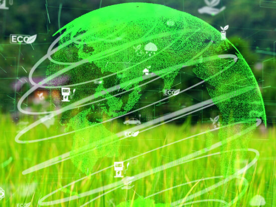 shutterstock_1911837421 (1)