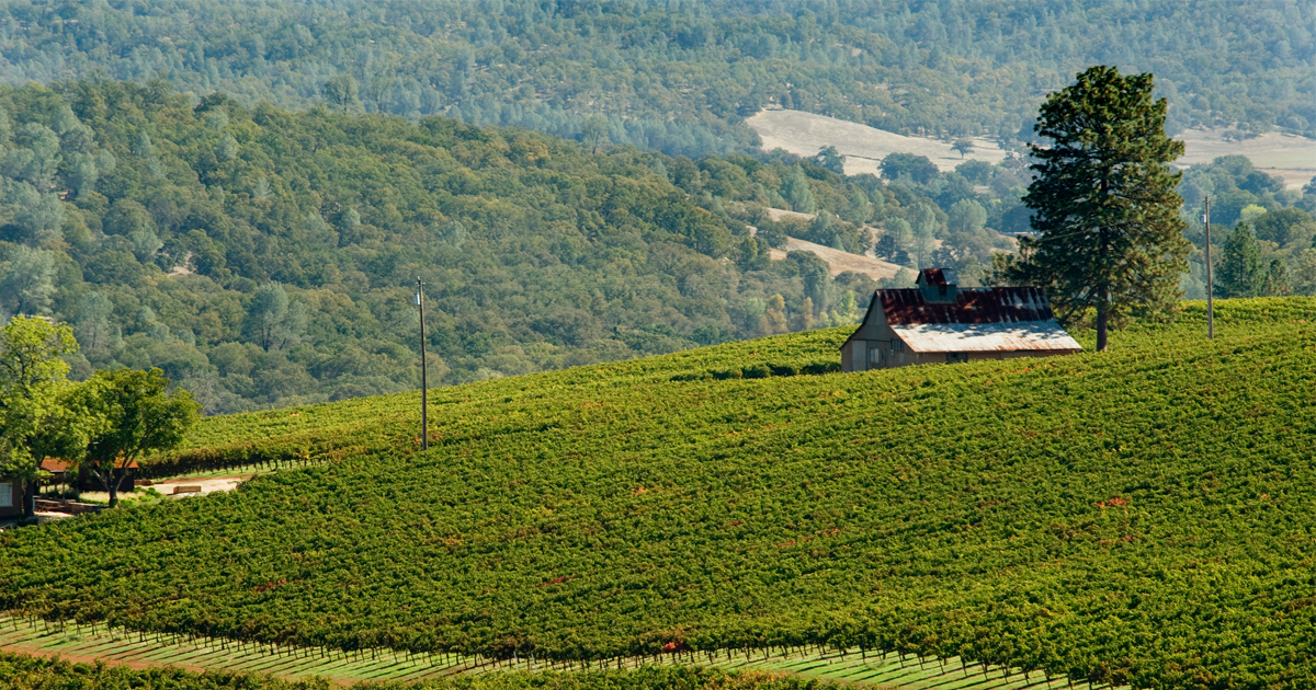 Lake County Development