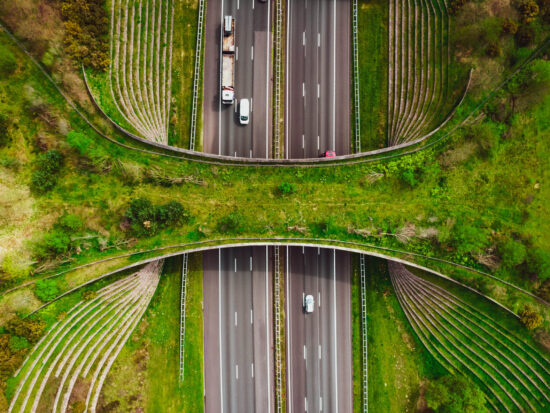 GettyImages-1488179335_50034