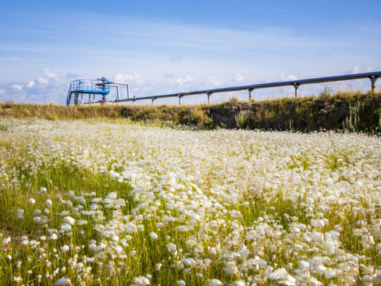 Oil, gas industry. Group wellheads and valve armature, Gas valve, Gas well of high pressure against a background of white fluffy flowers
