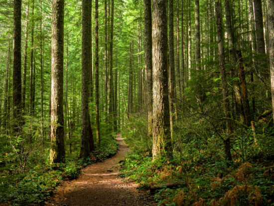 GettyImages-1446199740