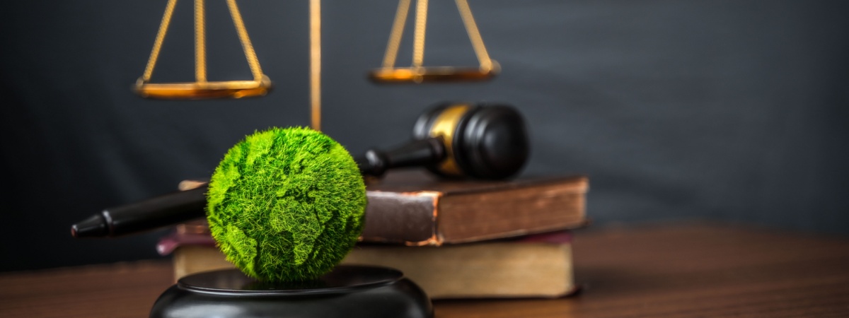 environmental justice