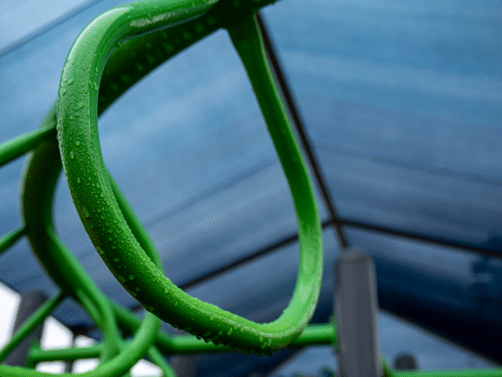 Davis Playground Relocation